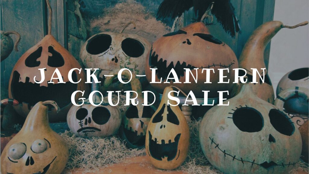 Gourd Sale